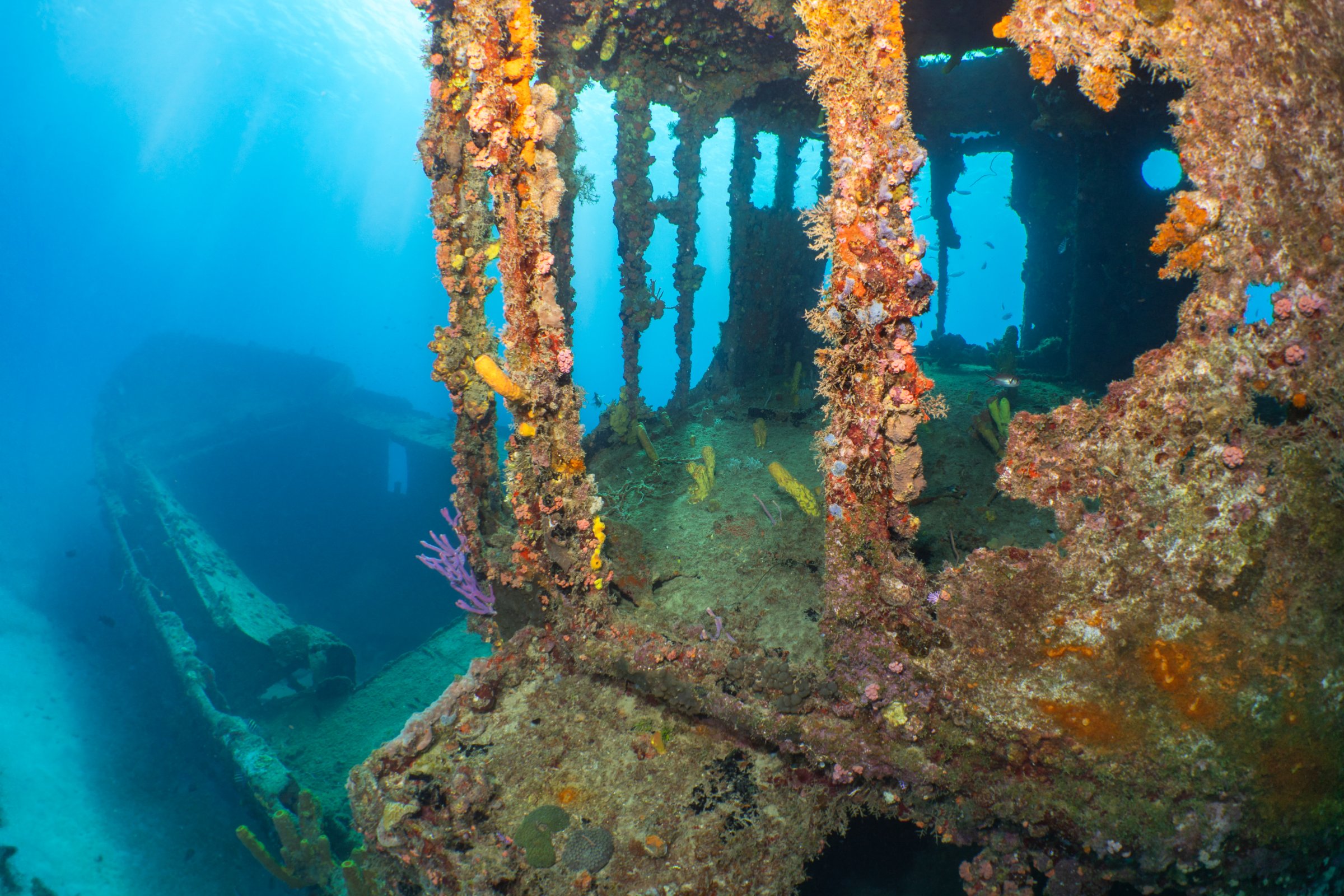 Green Divers Barbados