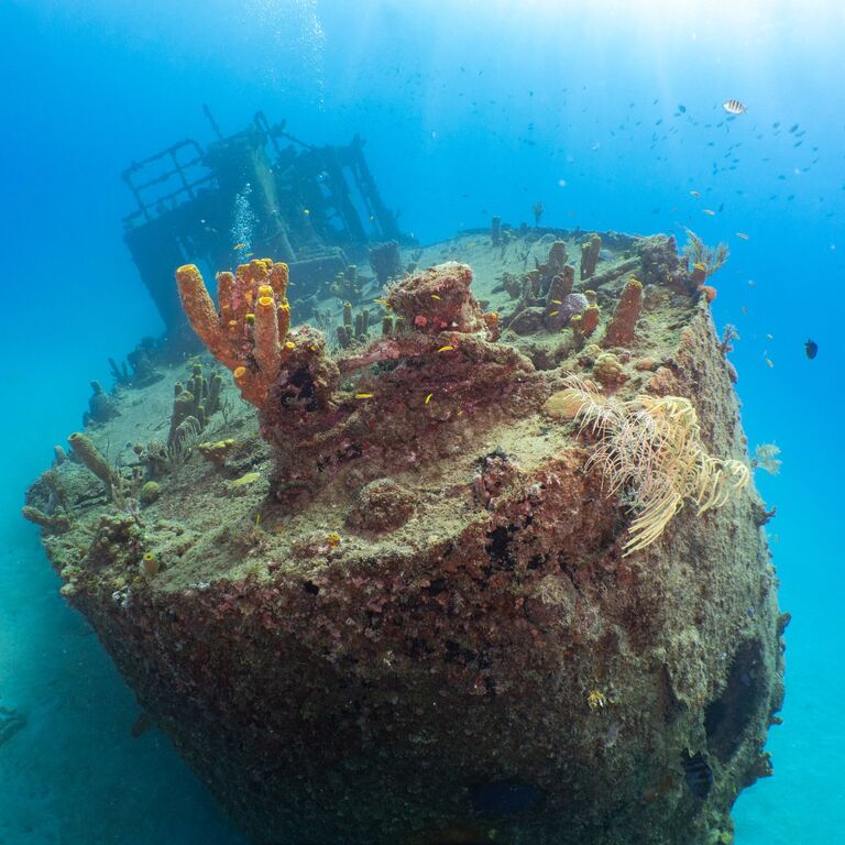 Green Divers Barbados