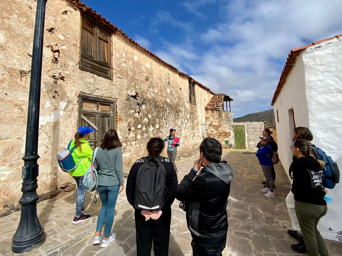 Tazirga Wellness Tours
