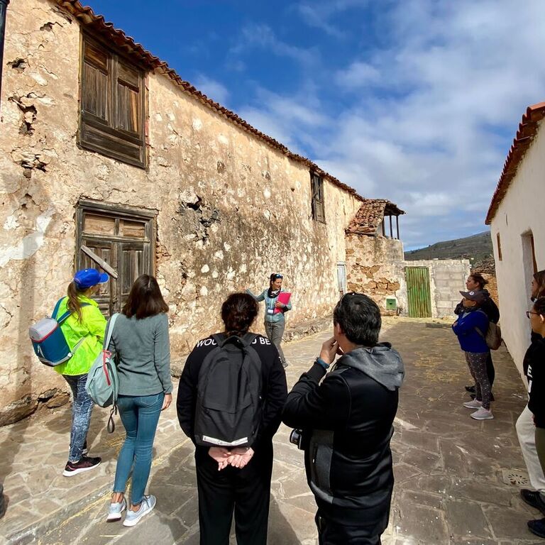 Tazirga Wellness Tours