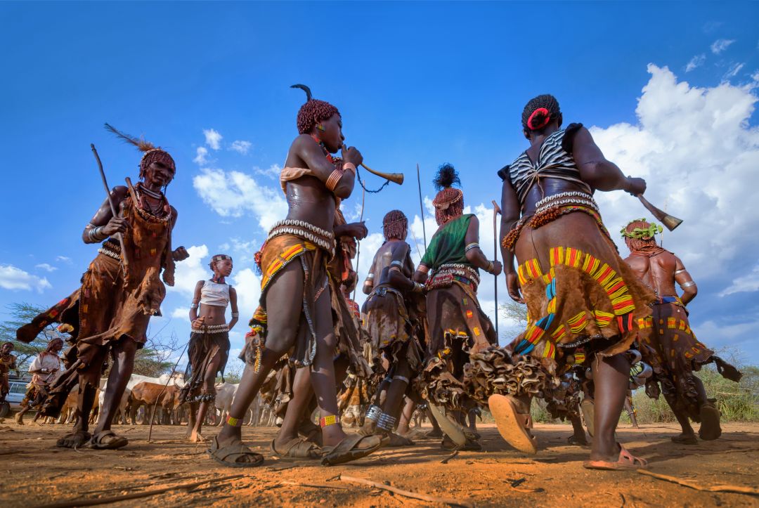 Enset Travel and Tour