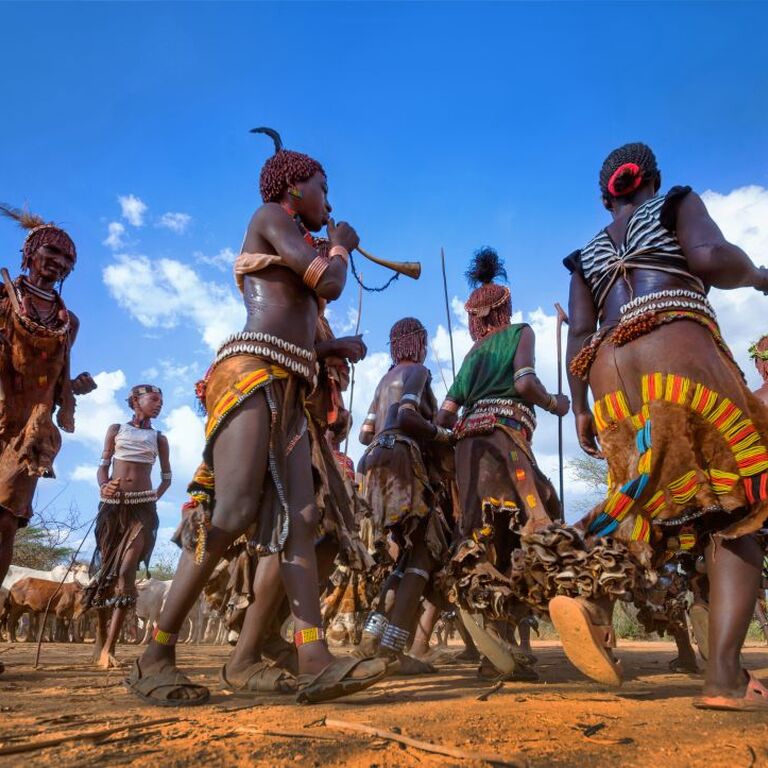 Enset Travel and Tour