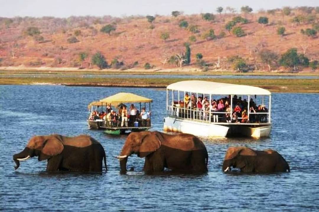 Cherish Travel and Tours