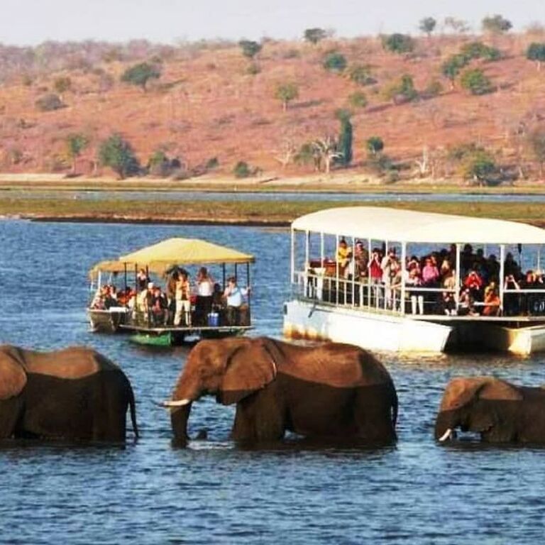 Cherish Travel and Tours