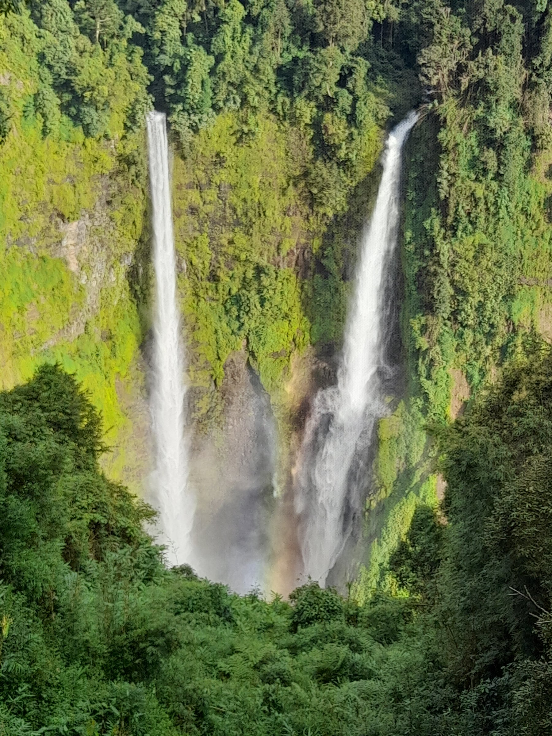 LAOS DAILY TOURS