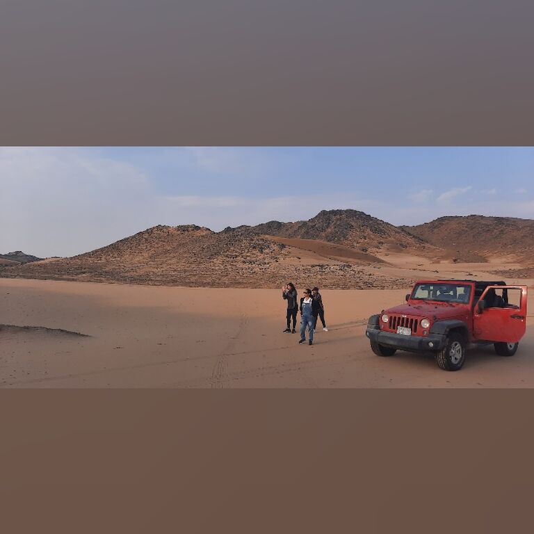 Safari Trips