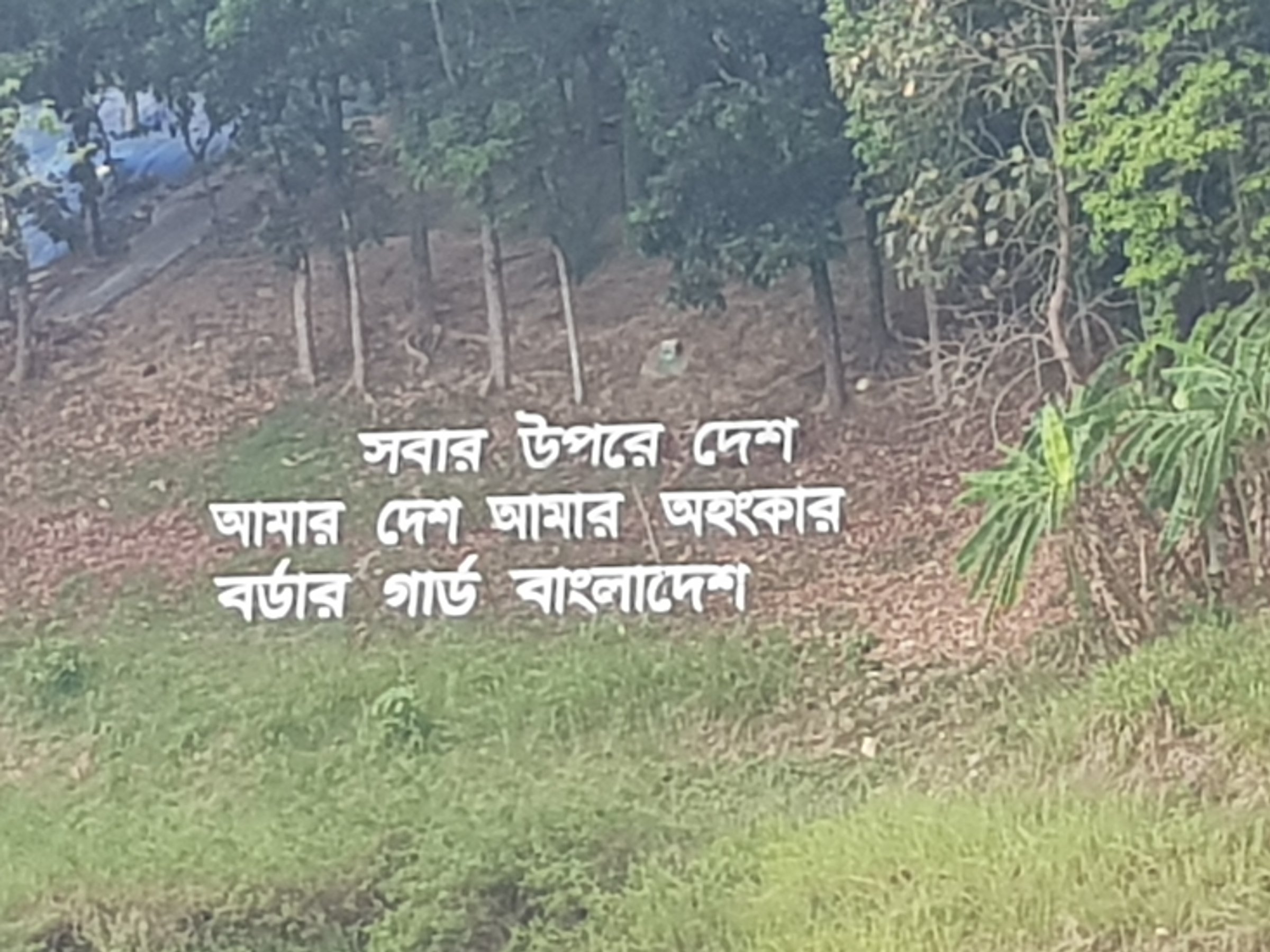 Sundarban Tourism Plus