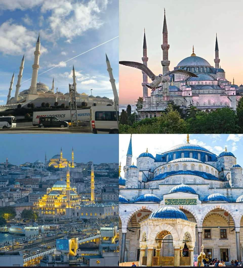FAST WAY TRAVEL AGENCY