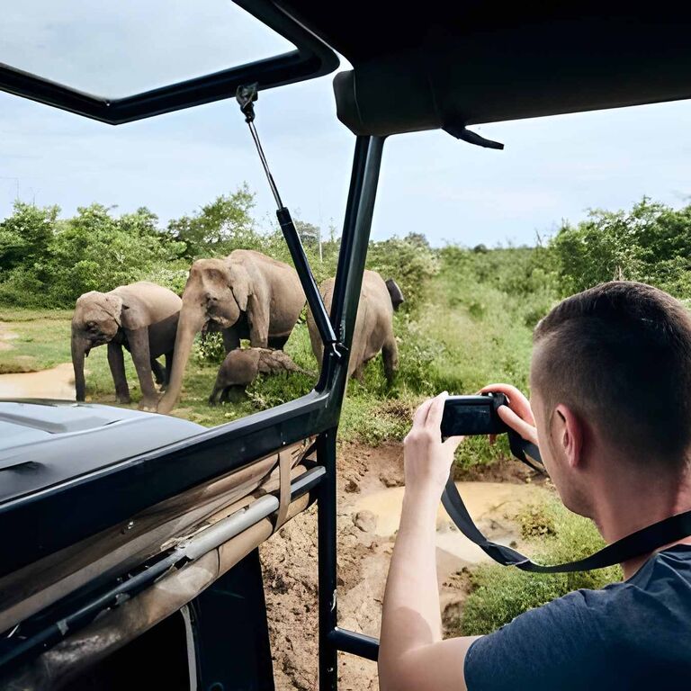 Siyaha Travels Pvt Ltd