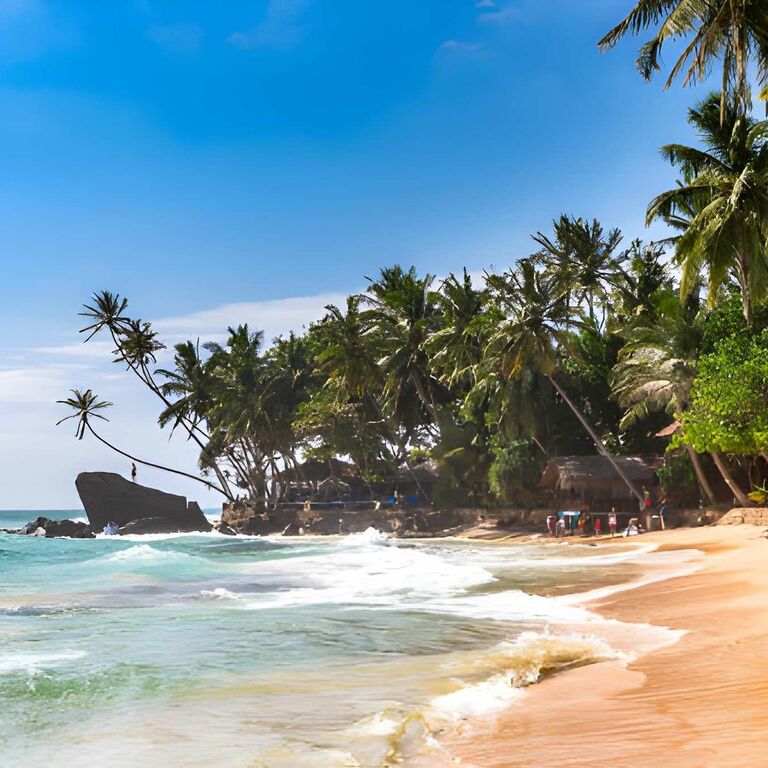 Siyaha Travels Pvt Ltd