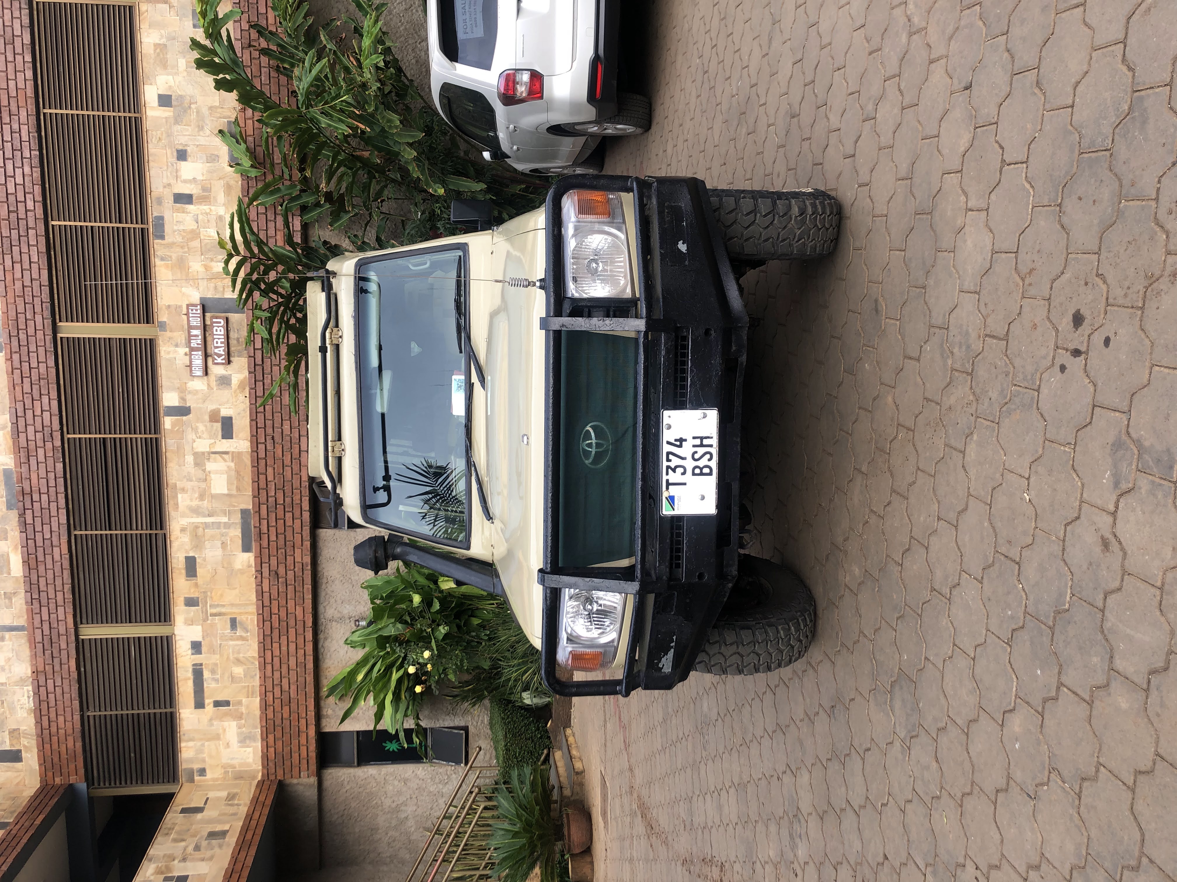 Chodo safaris