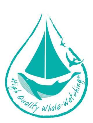 BMC SEA