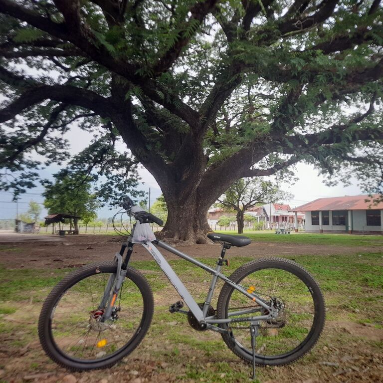 Wat Phu Khmer Temple by Bike