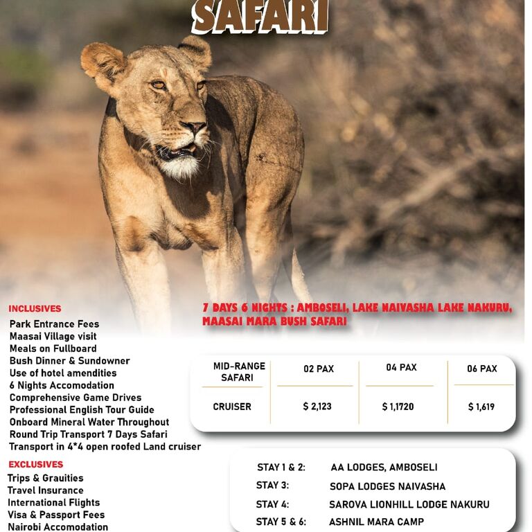 MAGICAL WORLD EXPLORE SAFARIS