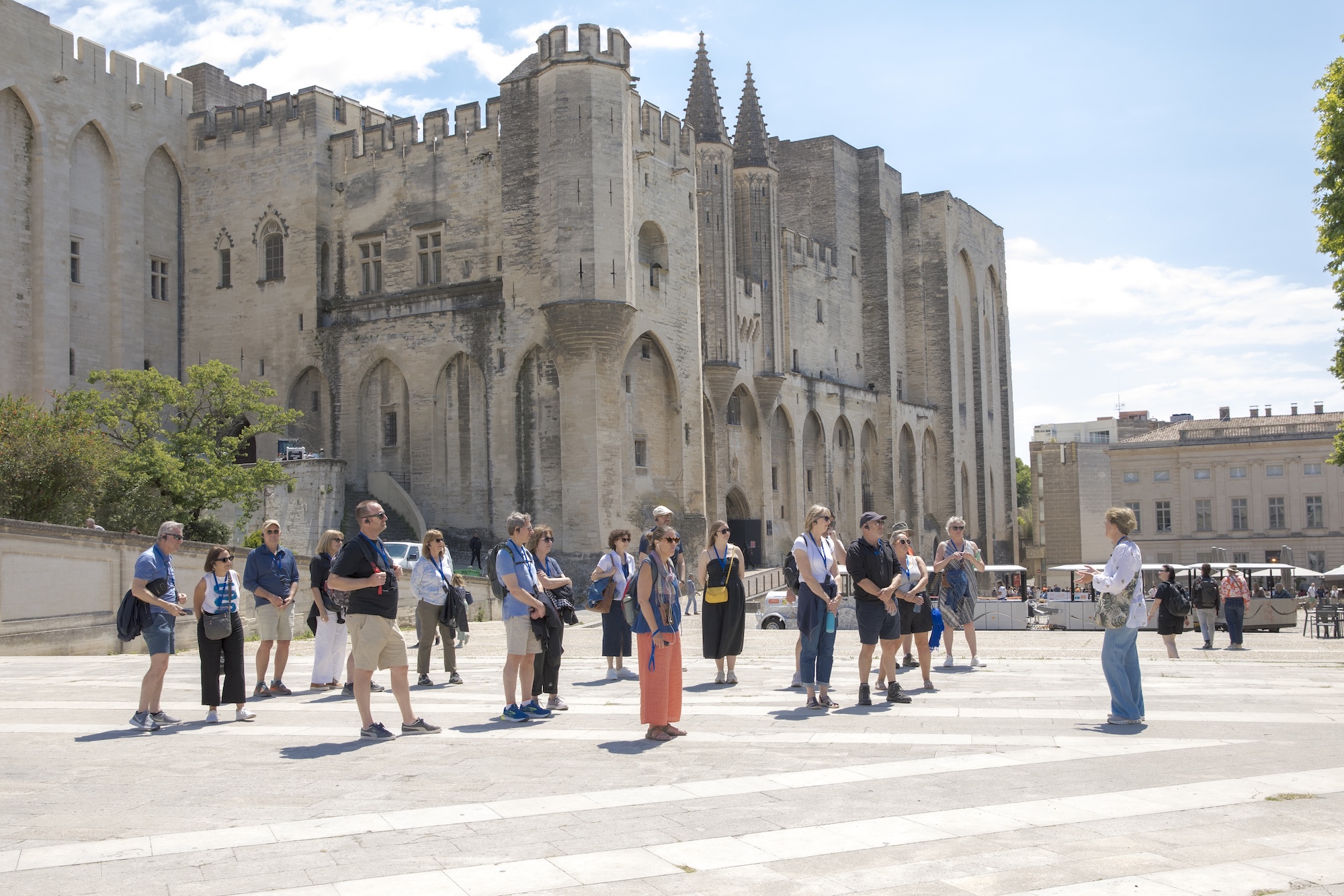 ANA IN AVIGNON