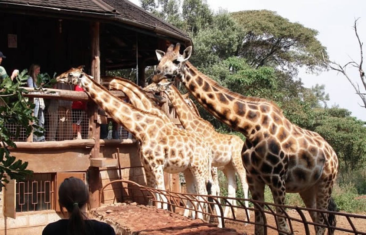 Maura Adventure tours