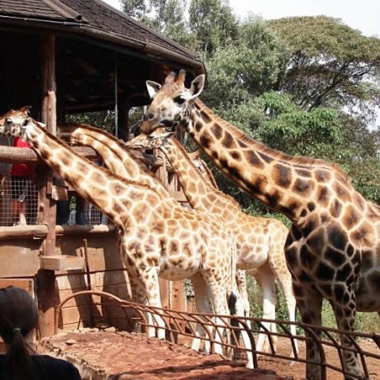 Maura Adventure tours