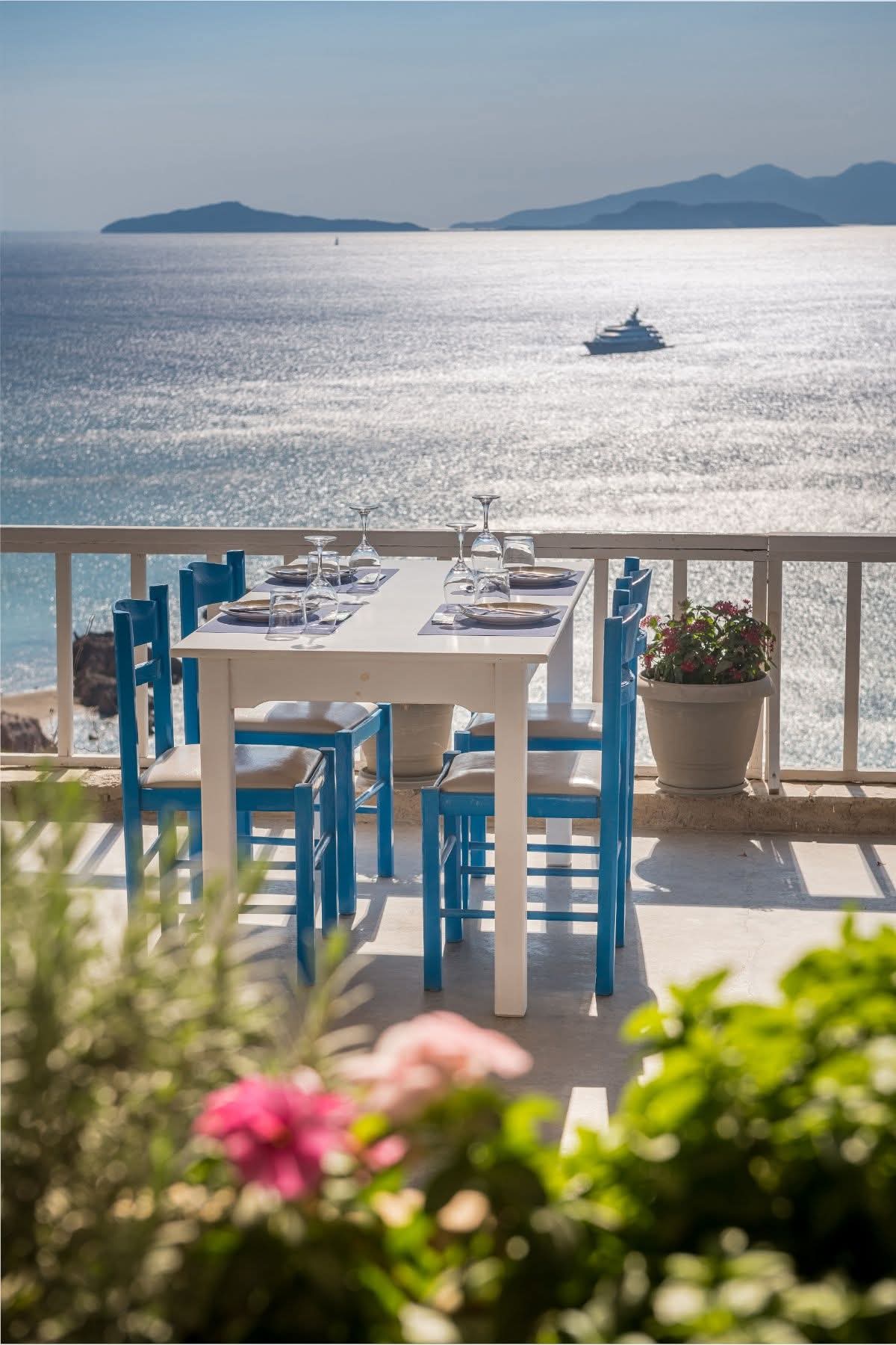Camel Restaurant