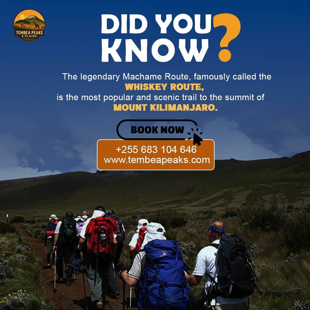 KILIMANJARO MACHAME 7 DAYS