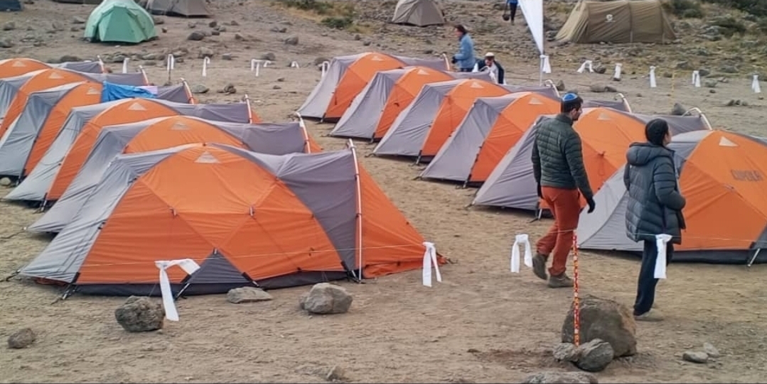 Arrow Trekking & Safaris