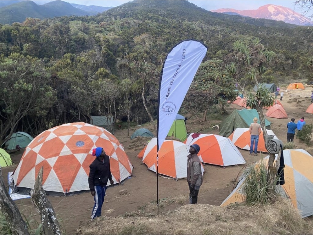 Arrow Trekking & Safaris