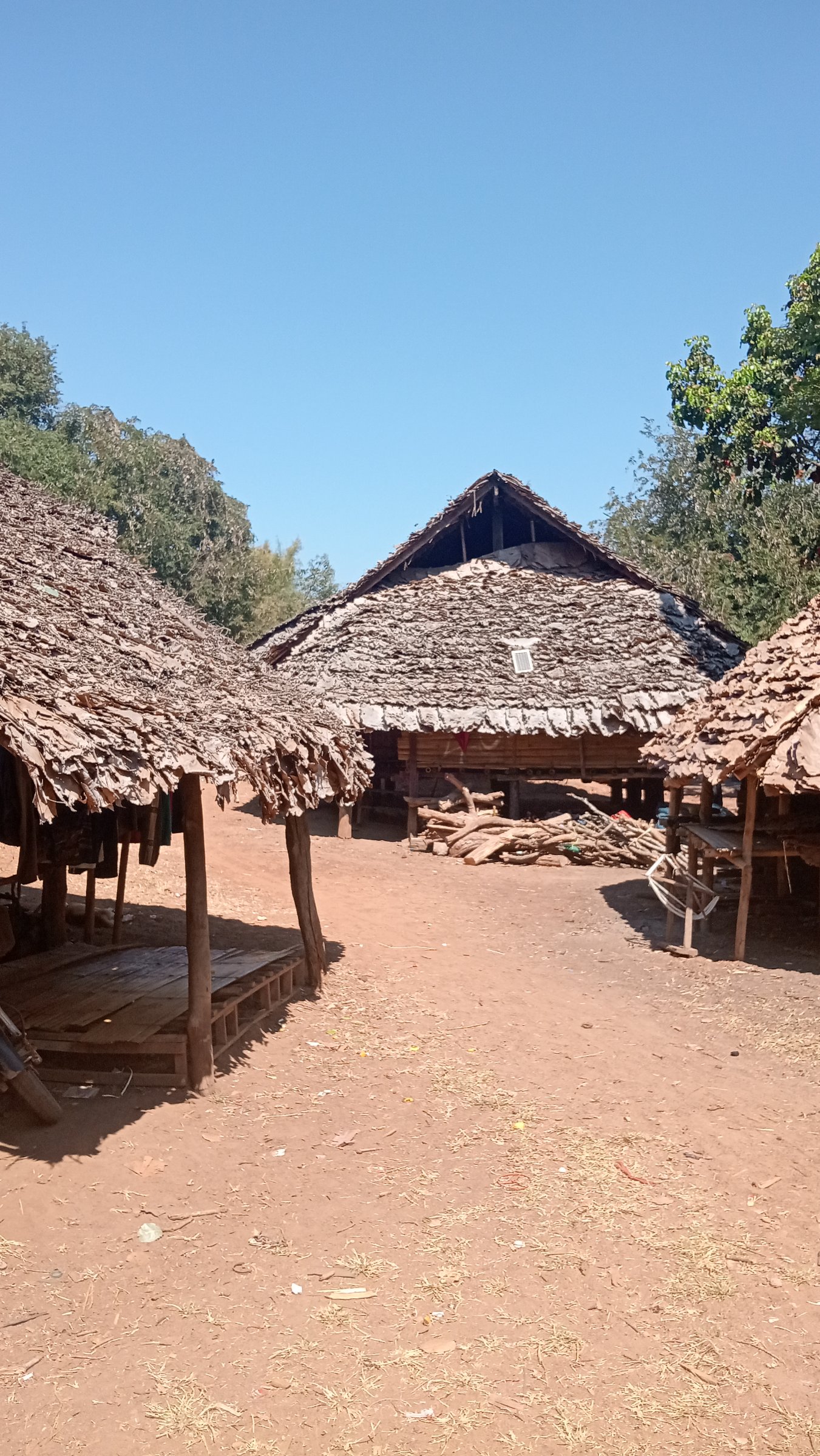 Nilas
