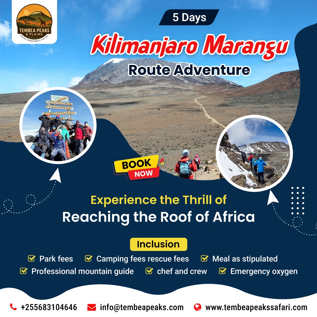 Kilimanjaro Marangu Route Trek