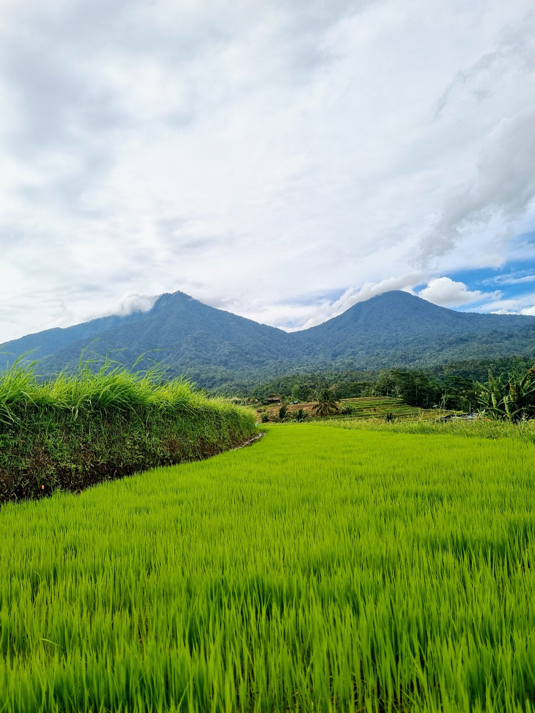 North Bali Scenic Tour