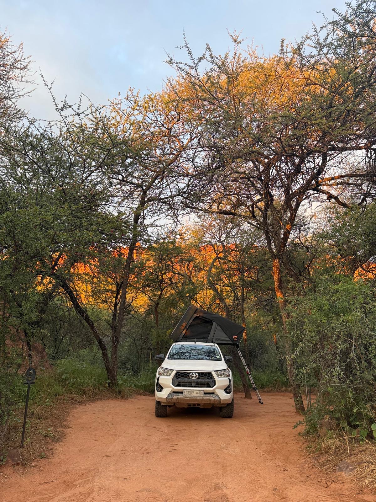 Escape Car Rental