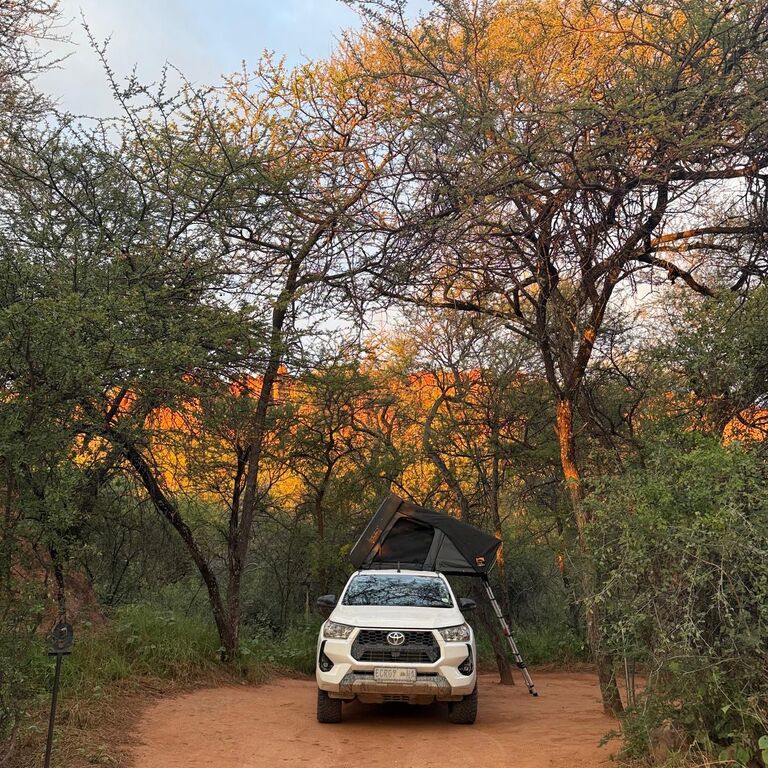Escape Car Rental
