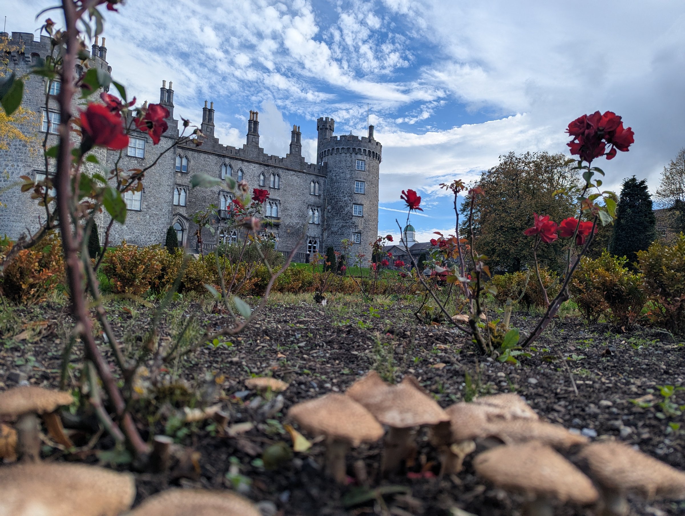 Ormonde Language Tours