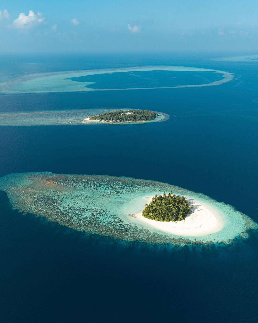 Survive Maldives