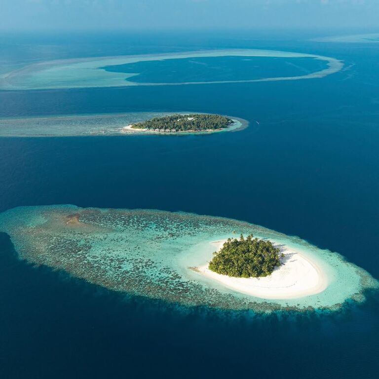 Survive Maldives