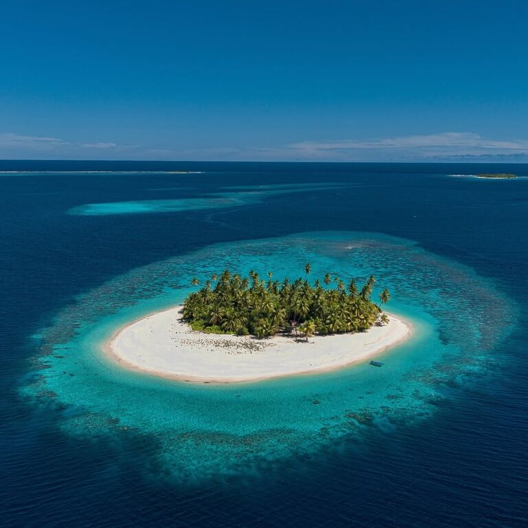 Survive Maldives