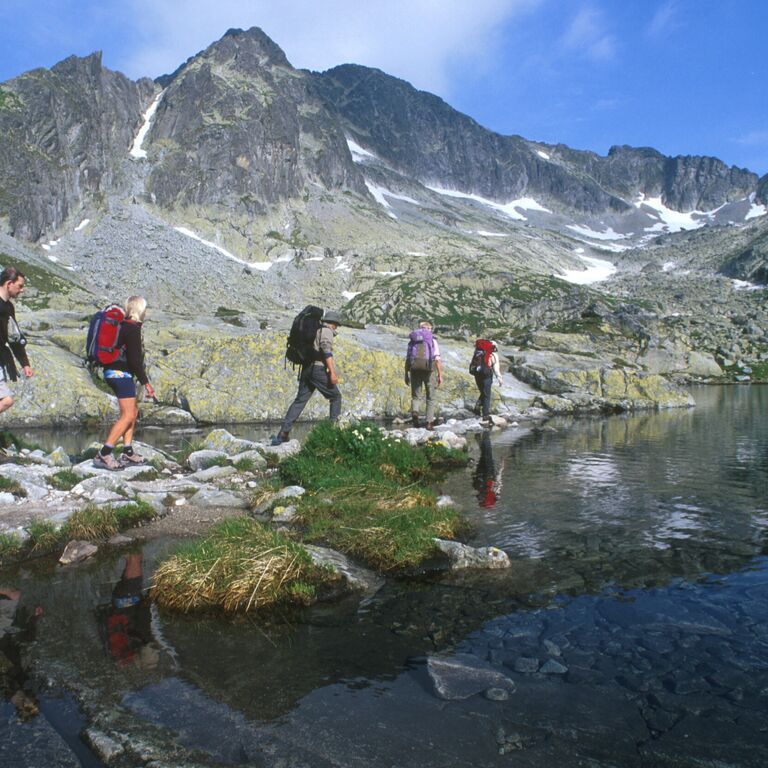 Atypus travel
