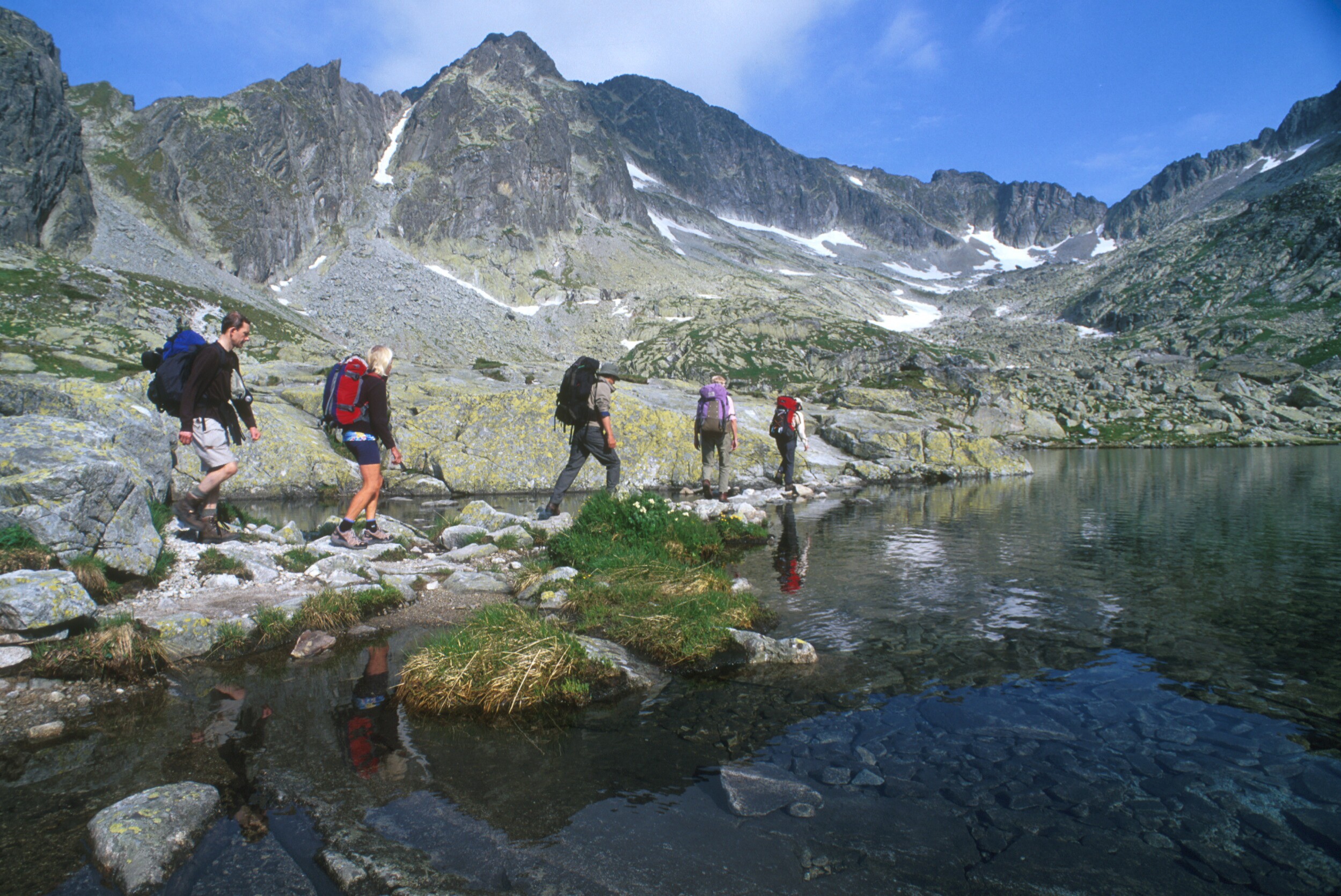 Atypus travel