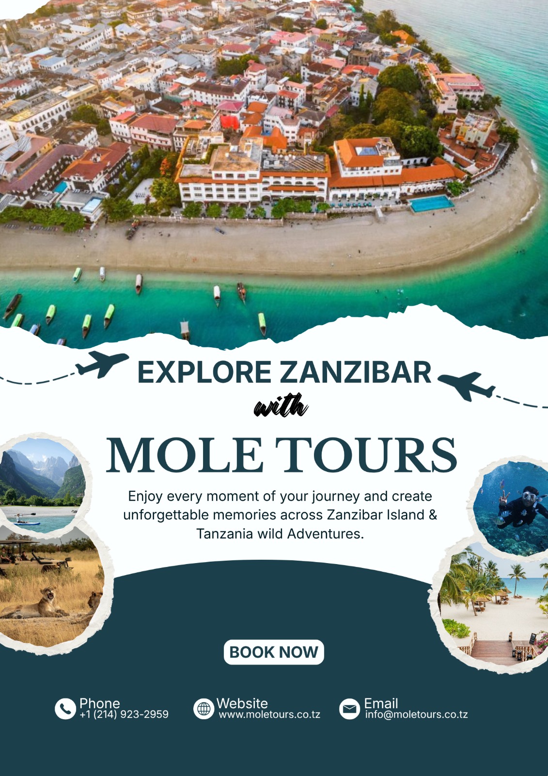 Mole Tours and safari