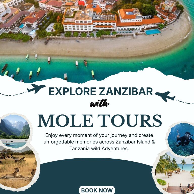 Mole Tours and safari