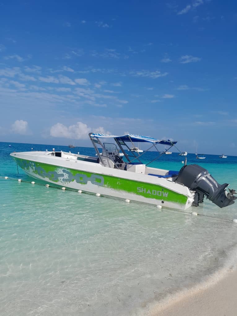 Zanzibar Marab Tours