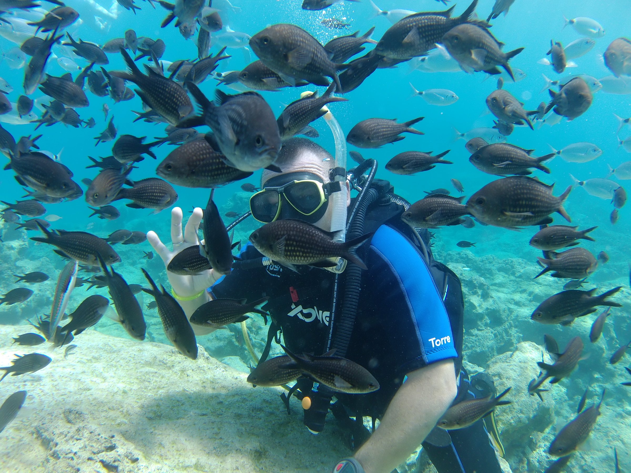 Dive Cypria