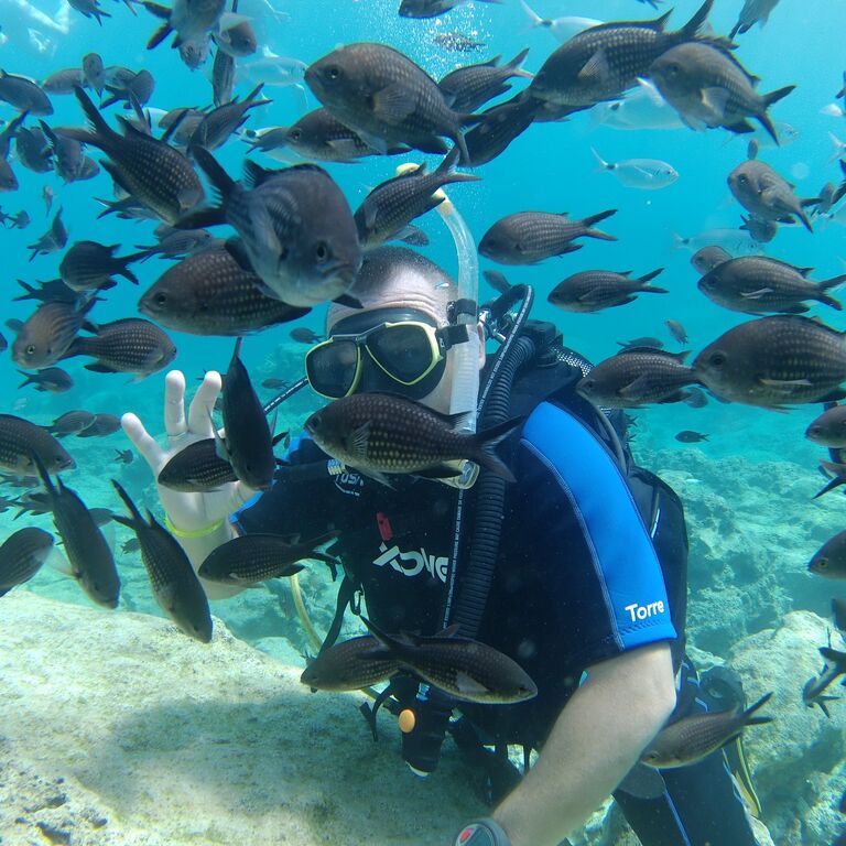 Dive Cypria