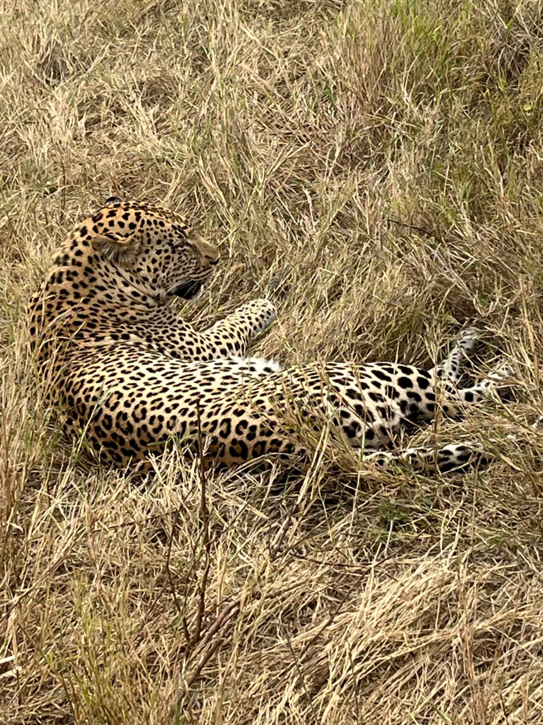 Tarangire N/park - Day Trip