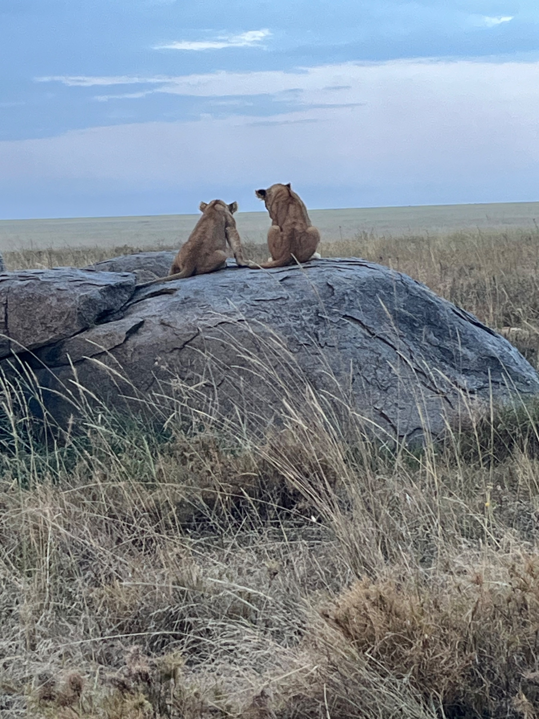 5 Days-Group Joining Safari