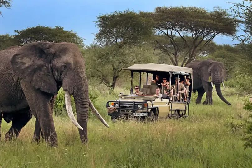 Explore Tanzania: 12 Days Peak