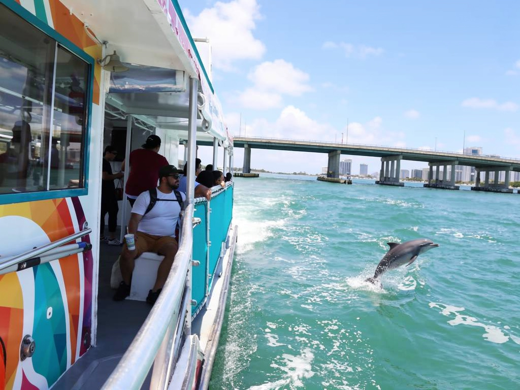 Miami on the Water