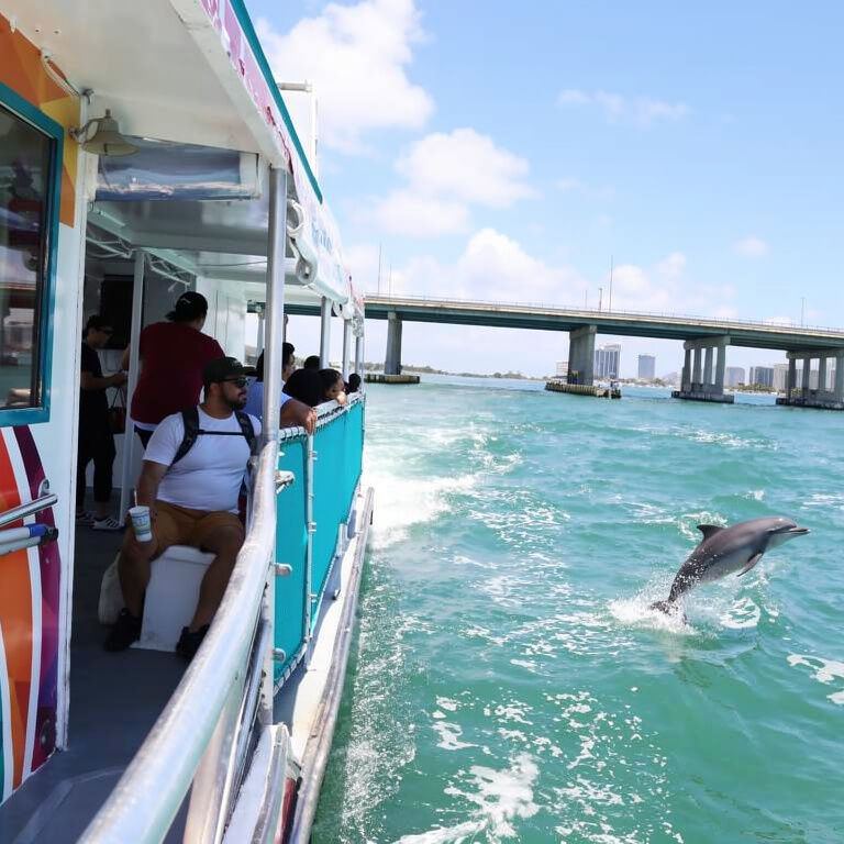 Miami on the Water