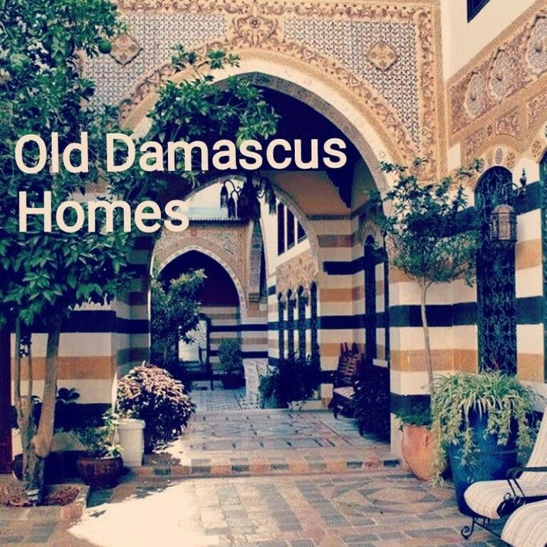 Alzabadani Travel and Tourism