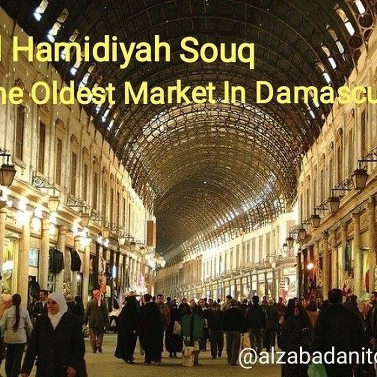 Alzabadani Travel and Tourism