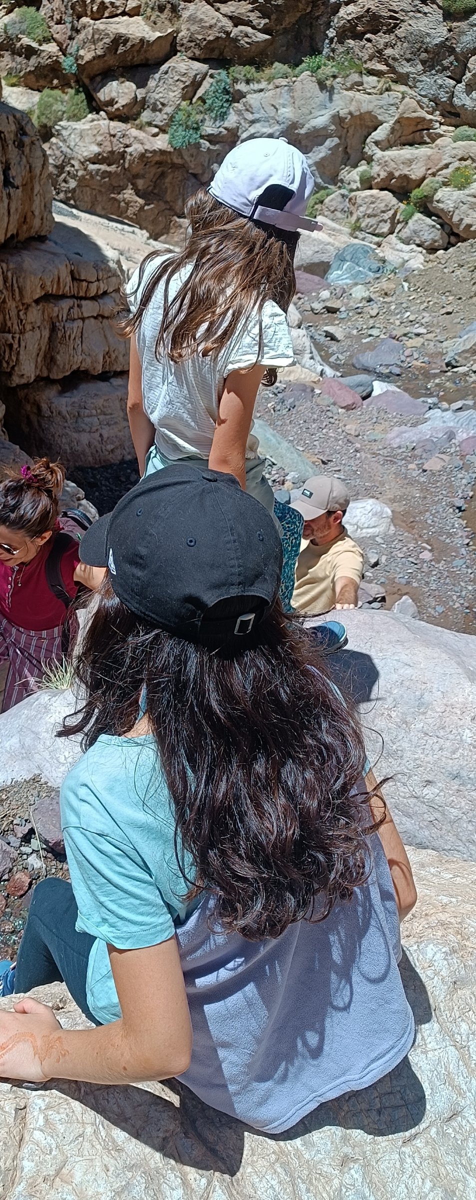 Local guide