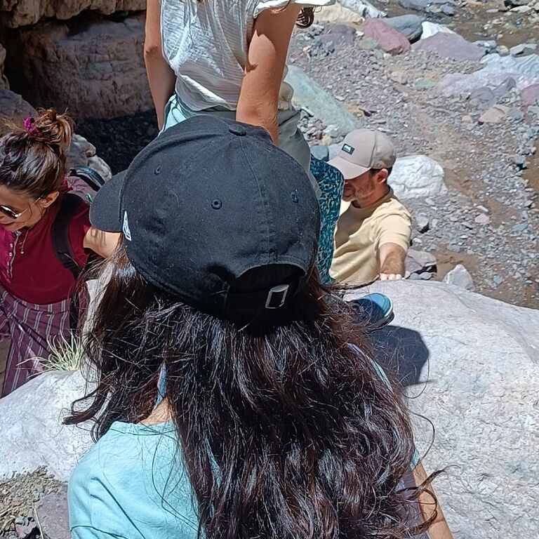 Local guide